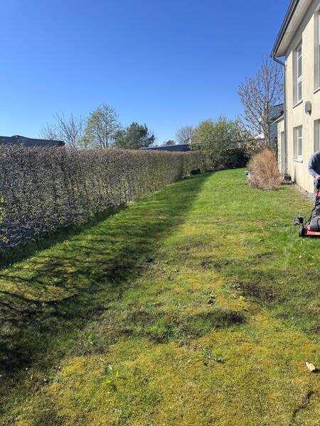Gartenprojekt 1