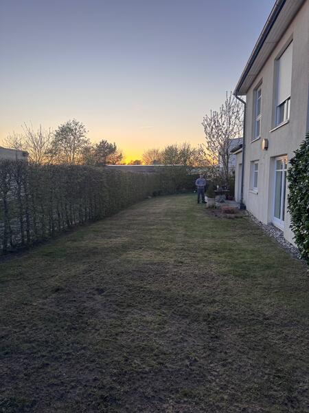 Gartenprojekt 2