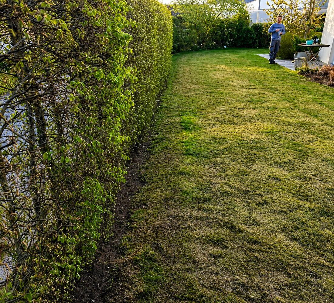 Gepflegte Hecke und gemähter Rasen